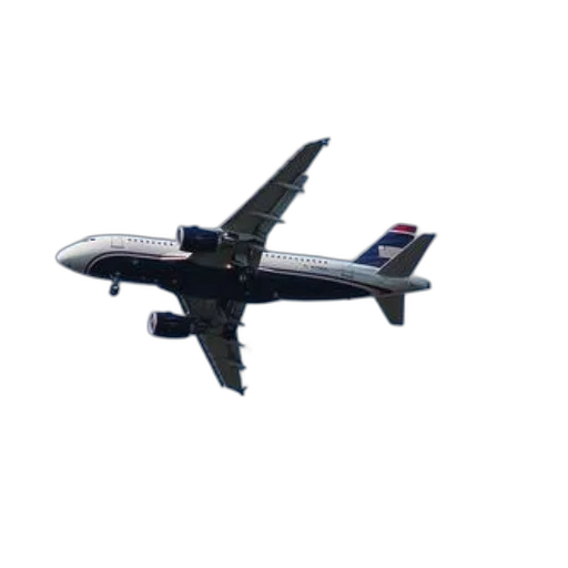 animal, staff, face, creature, 3d render, airways, airplane, flying transparent PNG cut-out