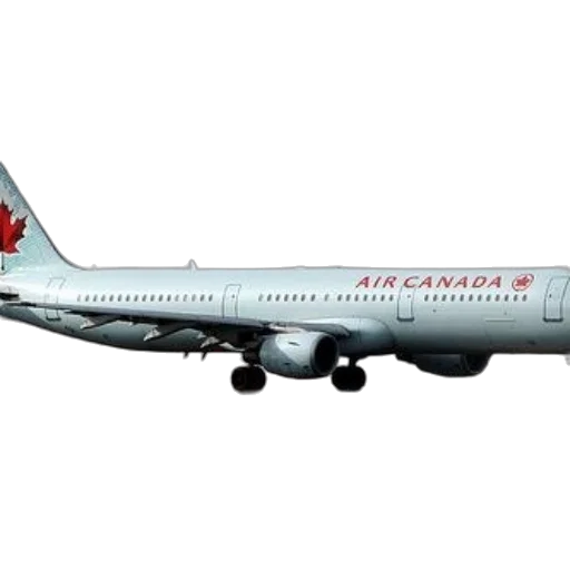 animal, air, canada, airplane, runway, snowy, background transparent PNG cut-out