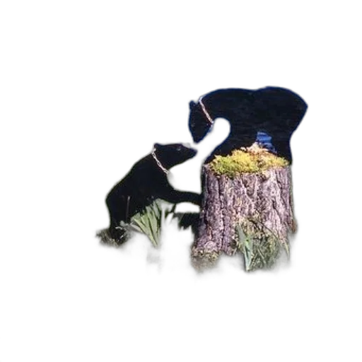 animal, hat, hair, creature, 3d render, photorealistic, concept art, pixel art transparent PNG cut-out