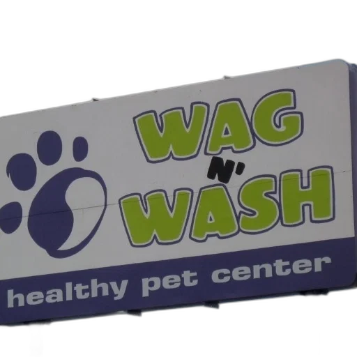 3d render, sign, wag, wash, healthy, pet, center, features transparent PNG cut-out