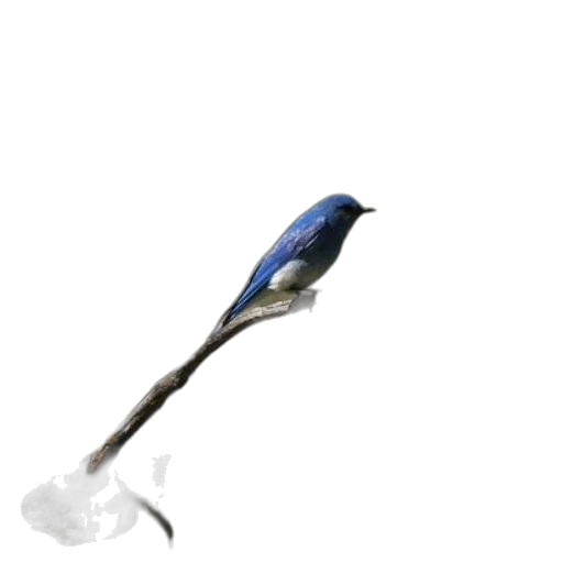 staff, weapon, sword, animal, 3d render, concept art, photorealistic, fantasy art transparent PNG cut-out