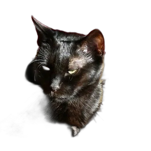 animal, staff, creature, face, photorealistic, 3d render, concept art, pixel art transparent PNG cut-out