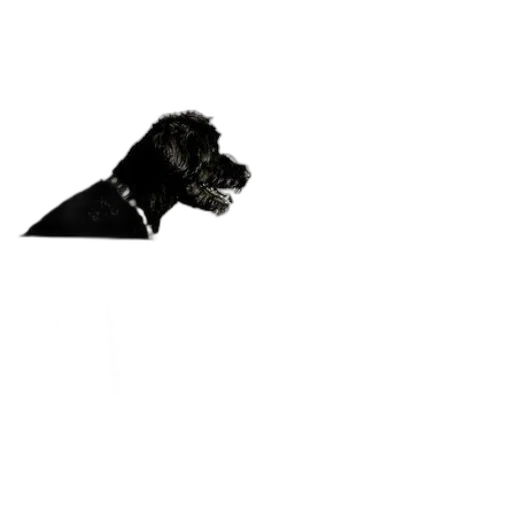 animal, staff, creature, face, pixel art, photorealistic, 3d render, concept art transparent PNG cut-out