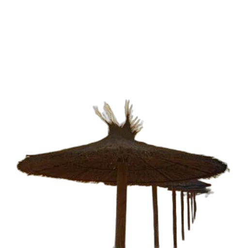 hat, umbrella, crown, staff, 3d render, concept art, photorealistic, fantasy art transparent PNG cut-out