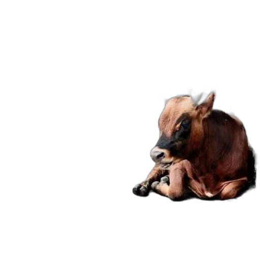 animal, creature, food, dragon, photorealistic, concept art, 3d render, pixel art transparent PNG cut-out