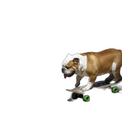 animal, creature, car, 3d render, photorealistic, concept art, bulldog, rides transparent PNG cut-out