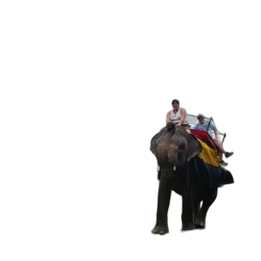 animal, umbrella, creature, car, concept art, 3d render, photorealistic, pixel art transparent PNG cut-out