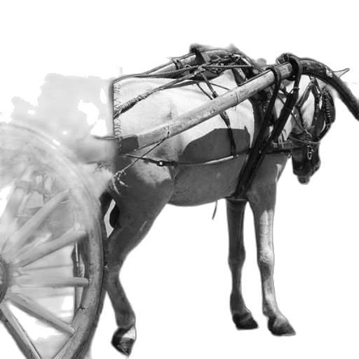 animal, weapon, staff, car, concept art, photorealistic, pencil sketch, 3d render transparent PNG cut-out