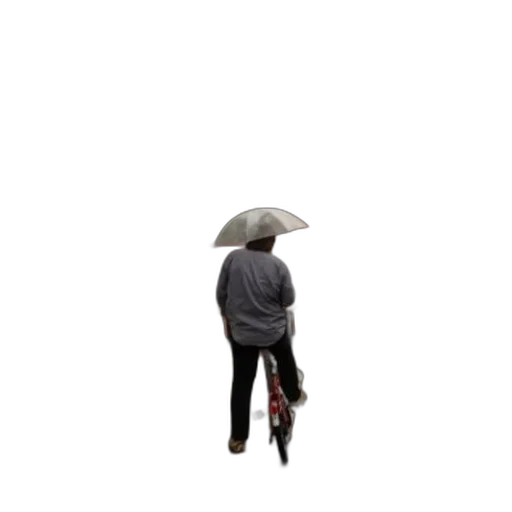 umbrella, hat, jacket, staff, concept art, 3d render, pixel art, photorealistic transparent PNG cut-out