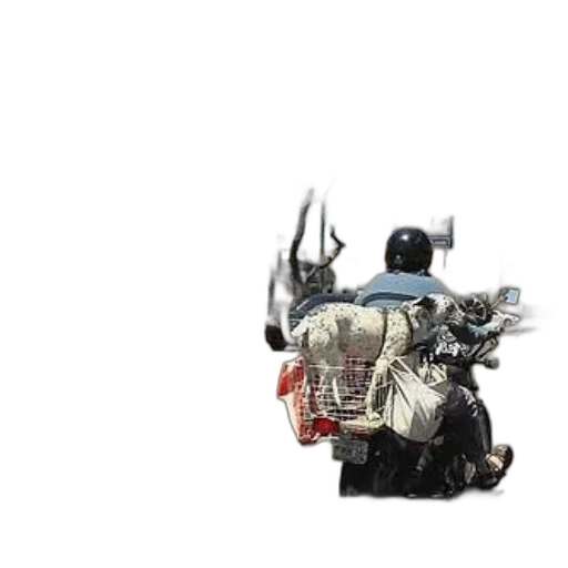 robot, weapon, car, animal, concept art, 3d render, fantasy art, person transparent PNG cut-out