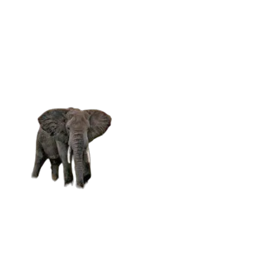 animal, creature, furniture, hat, 3d render, photorealistic, concept art, pixel art transparent PNG cut-out