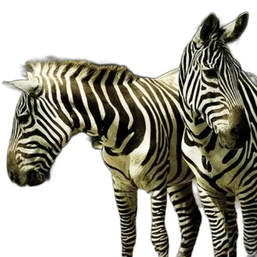 animal, creature, jewelry, furniture, photorealistic, 3d render, concept art, fantasy art transparent PNG cut-out