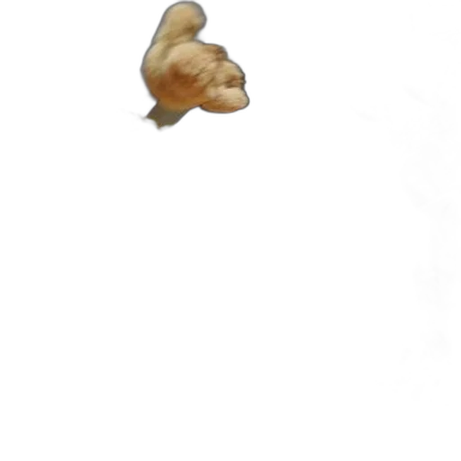 animal, face, creature, staff, photorealistic, 3d render, pixel art, concept art transparent PNG cut-out