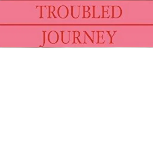 cover, troubled, journey, nigeria, since, civil, war, edited transparent PNG cut-out