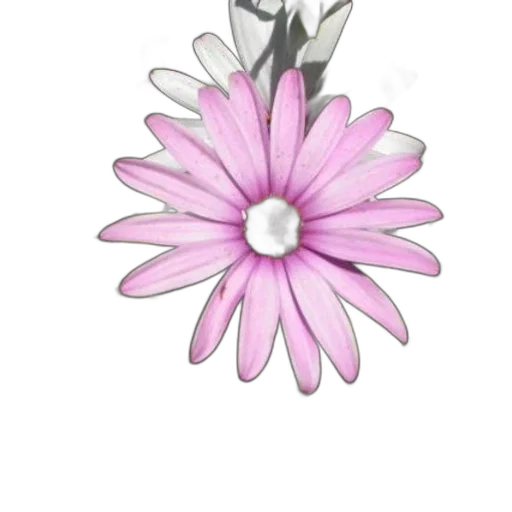 jewelry, flower, crown, staff, 3d render, photorealistic, pencil sketch, concept art transparent PNG cut-out