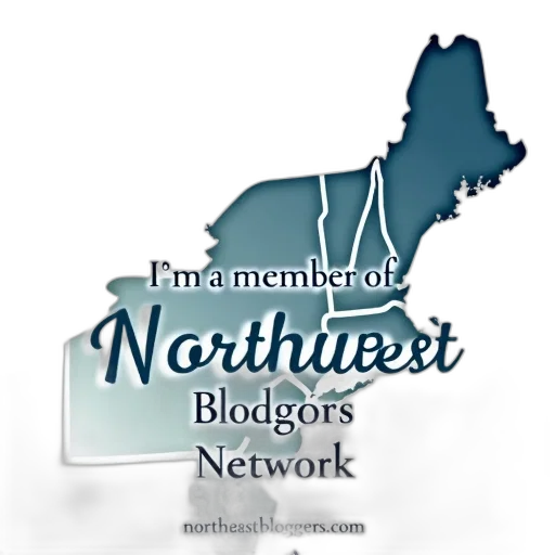 stylized, map, northeast, region, united, states, displayed, white transparent PNG cut-out