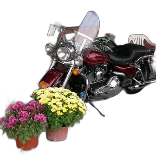 flower, crown, weapon, photorealistic, 3d render, red, motorcycle, parked transparent PNG cut-out