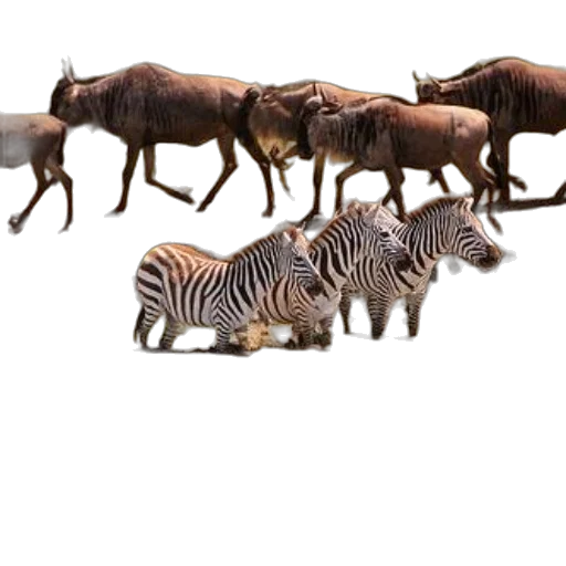 animal, weapon, creature, staff, concept art, 3d render, photorealistic, fantasy art transparent PNG cut-out