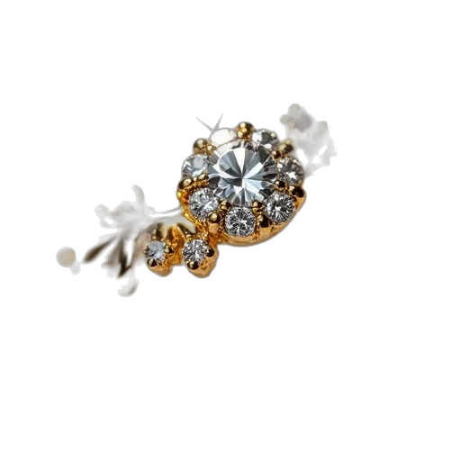 jewelry, crown, staff, flower transparent PNG cut-out