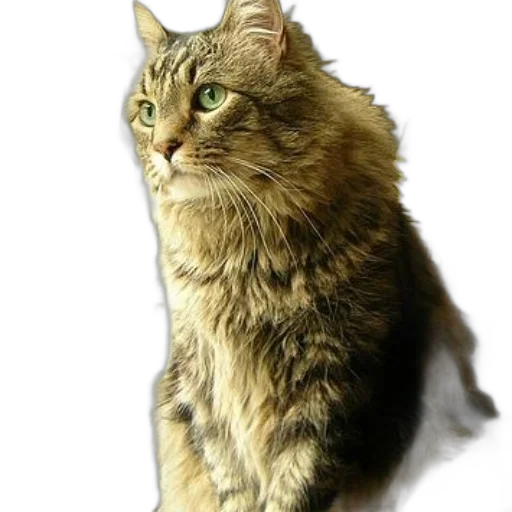 animal, staff, creature, crown, photorealistic, oil painting, 3d render, concept art transparent PNG cut-out