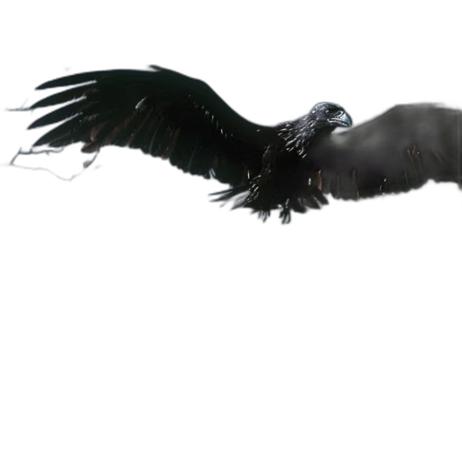 animal, creature, dragon, 3d render, concept art, photorealistic, raven-like, bird transparent PNG cut-out