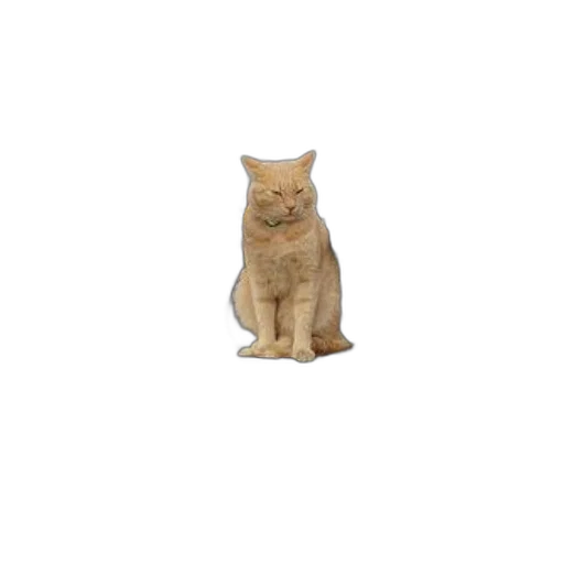 animal, staff, creature, robot, 3d render, photorealistic, pixel art, ginger transparent PNG cut-out