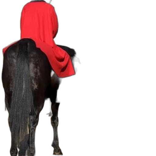 hat, animal, two, mounted, guards, red, uniforms, stand transparent PNG cut-out