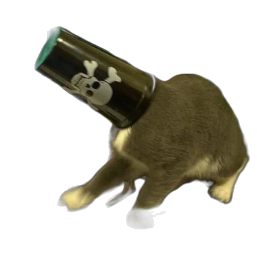 animal, weapon, creature, bottle, 3d render, concept art, photorealistic, cat transparent PNG cut-out