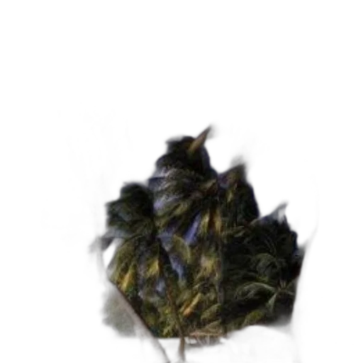 hair, crown, hat, flower, 3d render, photorealistic, concept art, pixel art transparent PNG cut-out