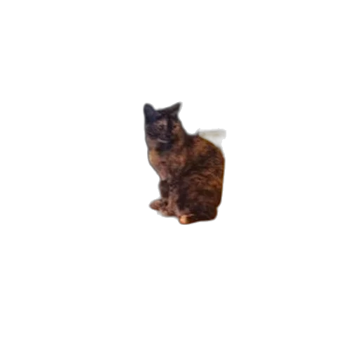 animal, creature, staff, dress transparent PNG cut-out