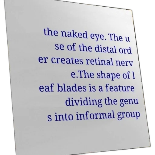 jewelry, food, creature, mask, image, contains, text, discussing transparent PNG cut-out