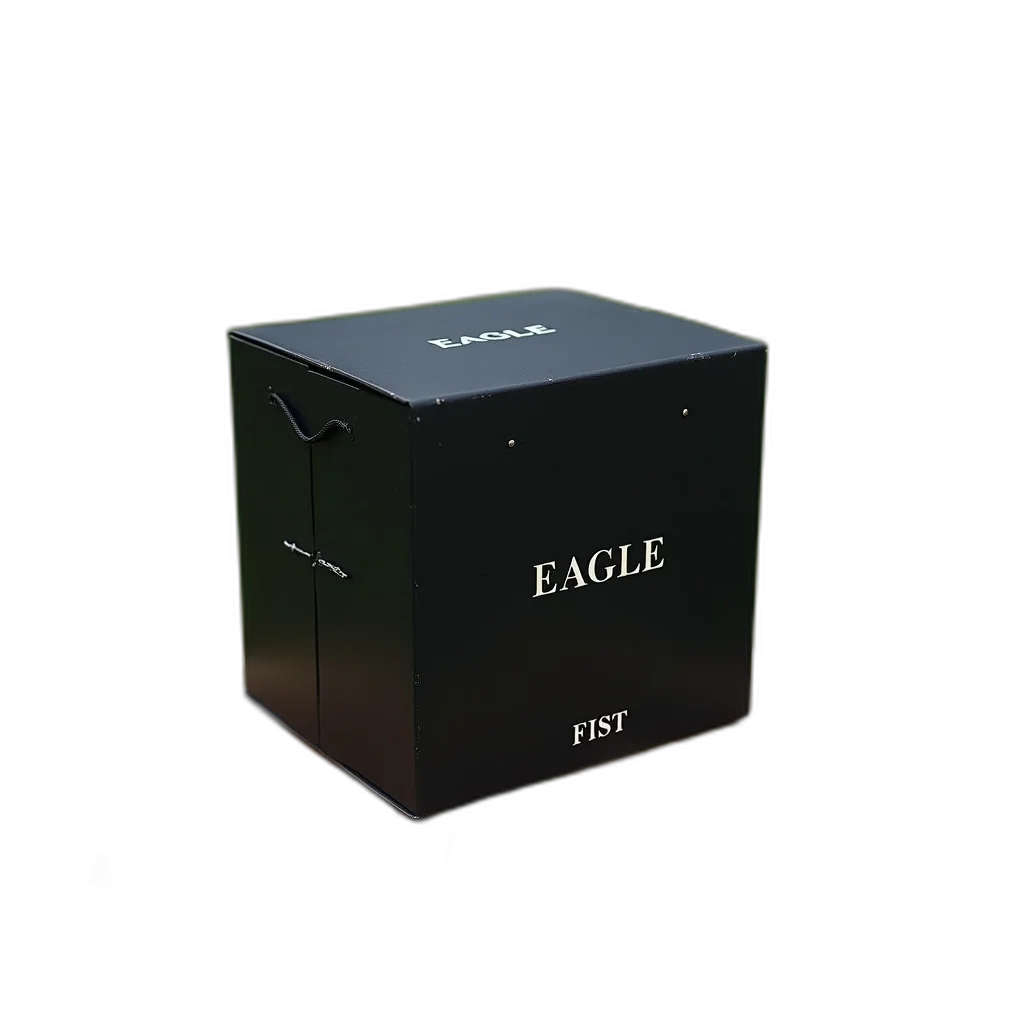 3d render, photorealistic, dark, black, box, word, eagle, top transparent PNG cut-out
