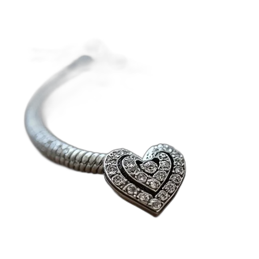 jewelry, crown, staff, cable, heart, charm, bracelet, silver transparent PNG cut-out