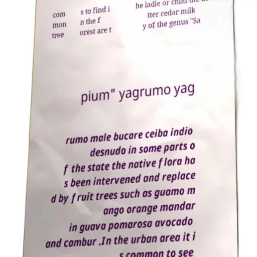 bottle, food, poster, text, spanish, about, common, trees transparent PNG cut-out