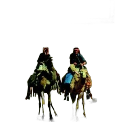 hat, jacket, animal, crown, concept art, oil painting, photorealistic, watercolor transparent PNG cut-out