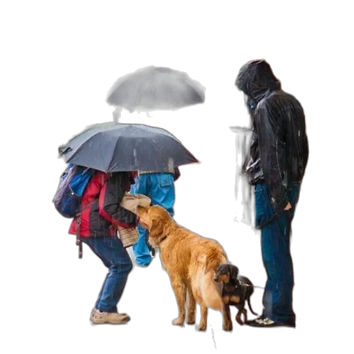 umbrella, jacket, animal, photorealistic, concept art, rain, snow, person transparent PNG cut-out