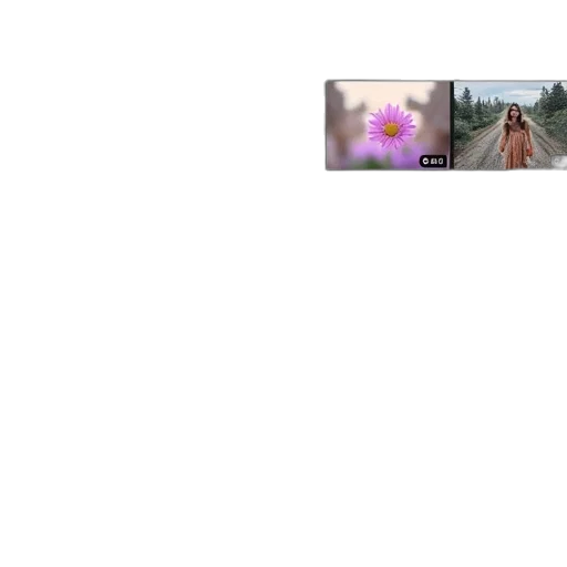 hair, creature, animal, robot, concept art, outer space, pastel, youtube transparent PNG cut-out