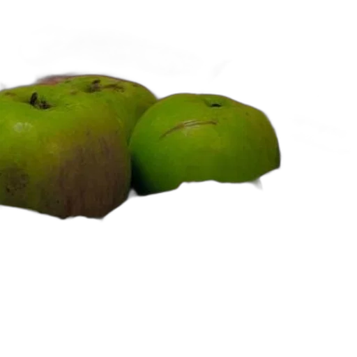 food, crown, furniture, tree, 3d render, photorealistic, green, earth tones transparent PNG cut-out