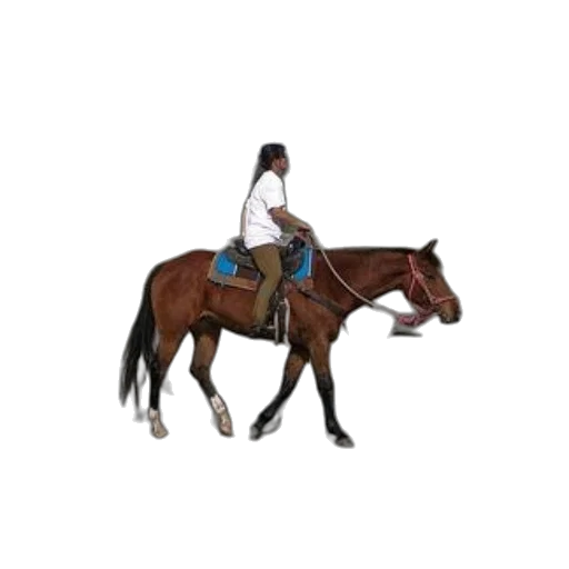 staff, animal, hat, jacket, 3d render, photorealistic, pixel art, concept art transparent PNG cut-out