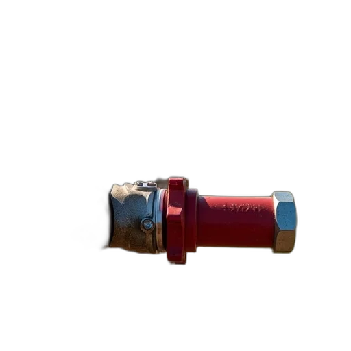 weapon, bottle, staff, jewelry, 3d render, red, close-up, view transparent PNG cut-out