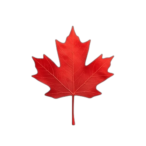 crown, maple, leaf, cutout transparent PNG cut-out