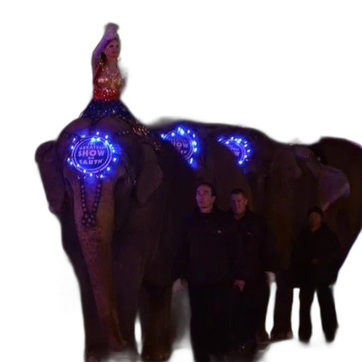animal, staff, jacket, creature, concept art, 3d render, neon lights, woman transparent PNG cut-out