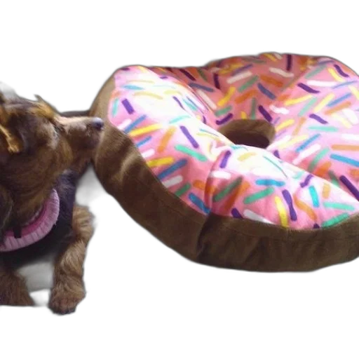 food, animal, 3d render, dog, laying, bed, next, pink transparent PNG cut-out