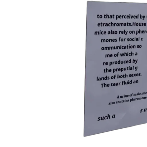 poster, text, discussing, reliance, house, mice, pheromones, social transparent PNG cut-out