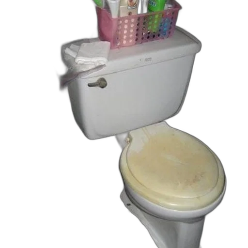 staff, furniture, food, crown, 3d render, dirty, toilet, pink transparent PNG cut-out