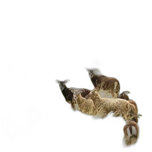 animal, dragon, creature, hair, 3d render, photorealistic, concept art, underwater transparent PNG cut-out