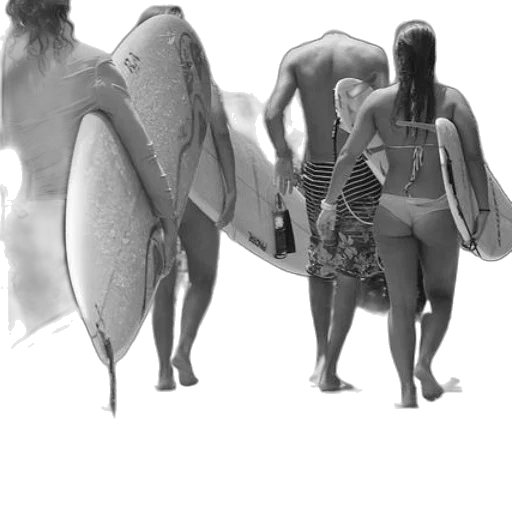 creature, concept art, 3d render, fantasy art, photorealistic, underwater, beach, monochrome transparent PNG cut-out