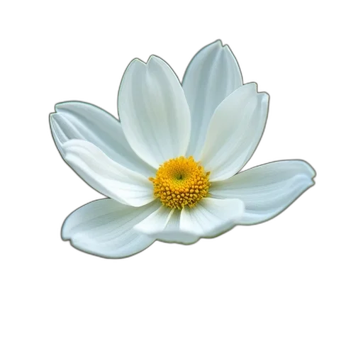flower, crown, jewelry, staff, photorealistic, 3d render, oil painting, concept art transparent PNG cut-out