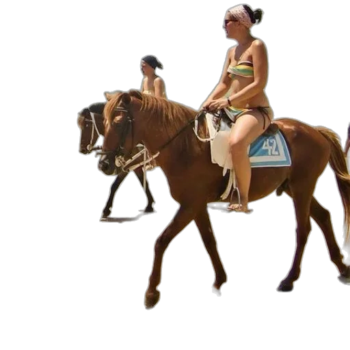 animal, concept art, 3d render, photorealistic transparent PNG cut-out