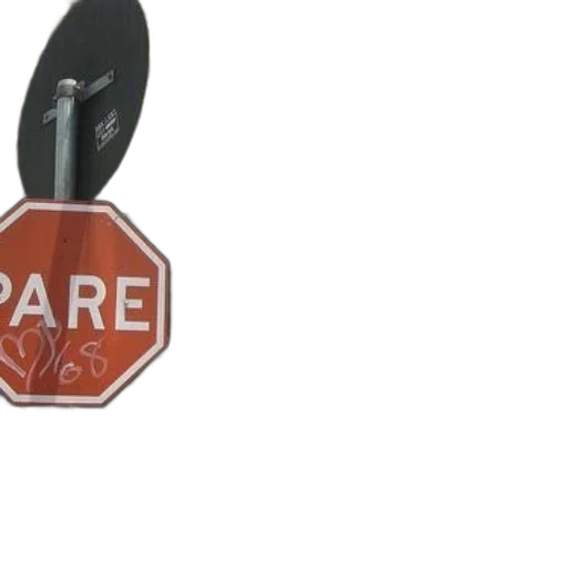 jewelry, staff, weapon, jacket transparent PNG cut-out